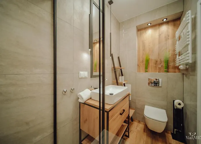 Appartamento Silence Karpatia Zelda *