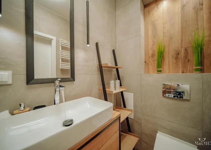 Silence Karpatia Zelda