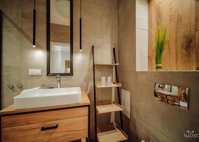 Silence Karpatia Zelda Apartamento